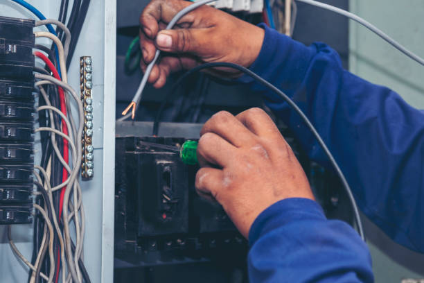 Best Electrician for Home Renovation  in Winthrop, IA