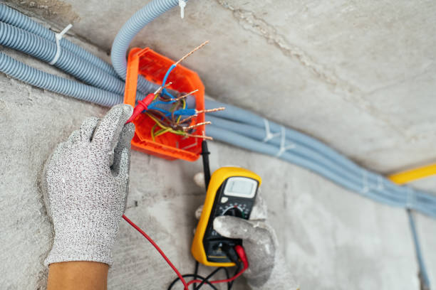 Best Home Electrical Repair  in Winthrop, IA